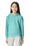 Comfort Colors® Youth Lightweight Hooded Sweatshirt 1467Y