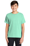 COMFORT COLORS ® Youth Heavyweight Ring Spun Tee. 9018