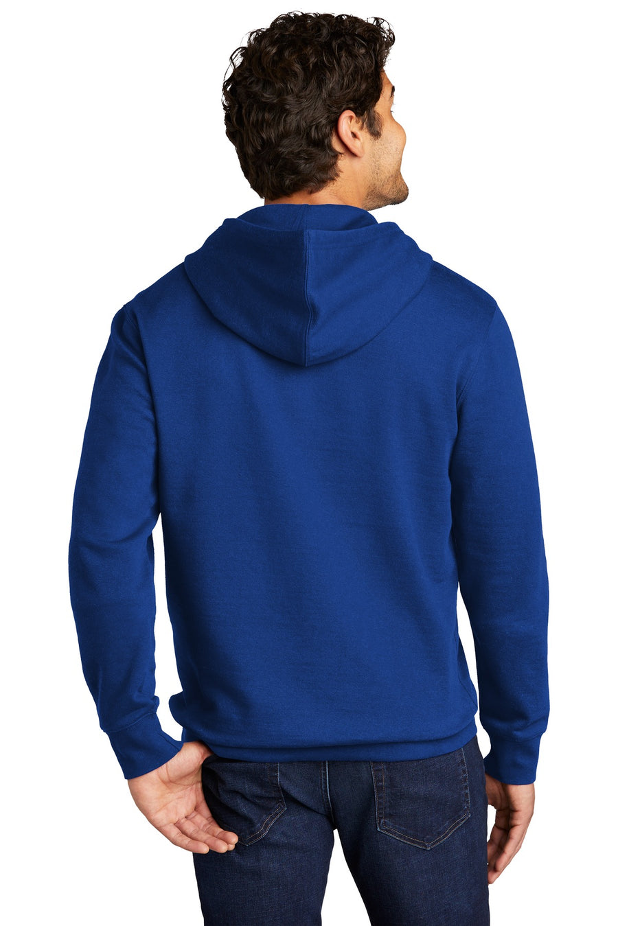 DT6100-Deep Royal-back_model