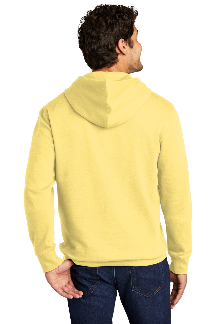 DT6100-Light Yellow-back_model