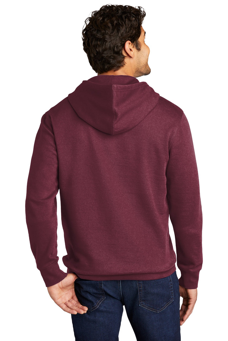 DT6100-Plum-back_model
