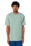 Stanley/Stella Unisex Freestyler Heavyweight Tee SXU018