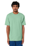 Stanley/Stella Unisex Freestyler Heavyweight Tee SXU018