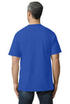 2000T-Royal-back_model