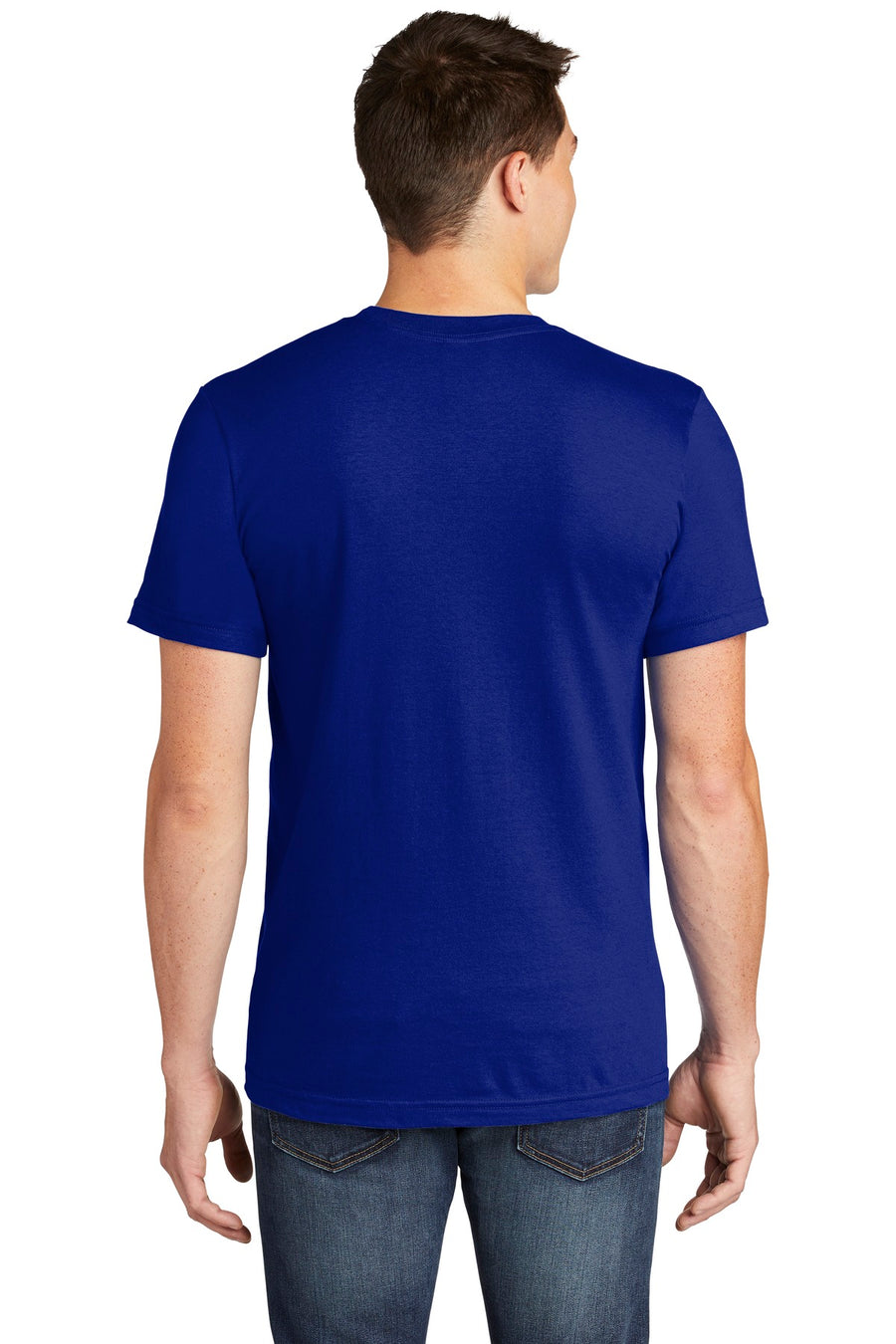 2001W-Lapis-back_model