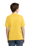 29B-Island Yellow-back_model