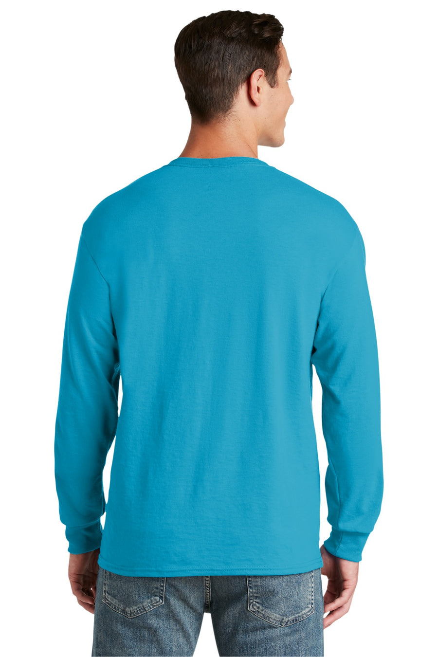 29LS-California Blue-back_model