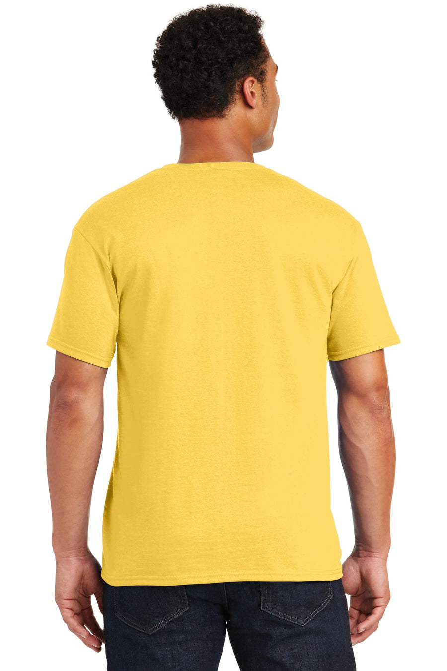 29M-Island Yellow-back_model