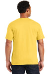 29M-Island Yellow-back_model