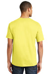5180-Yellow-back_model