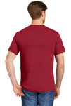 5590-Deep Red-back_model