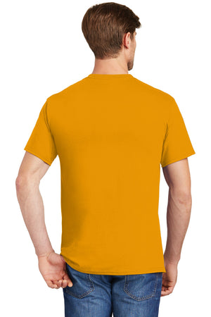 5590-Gold-back_model