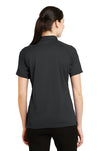 CS411-Charcoal-back_model