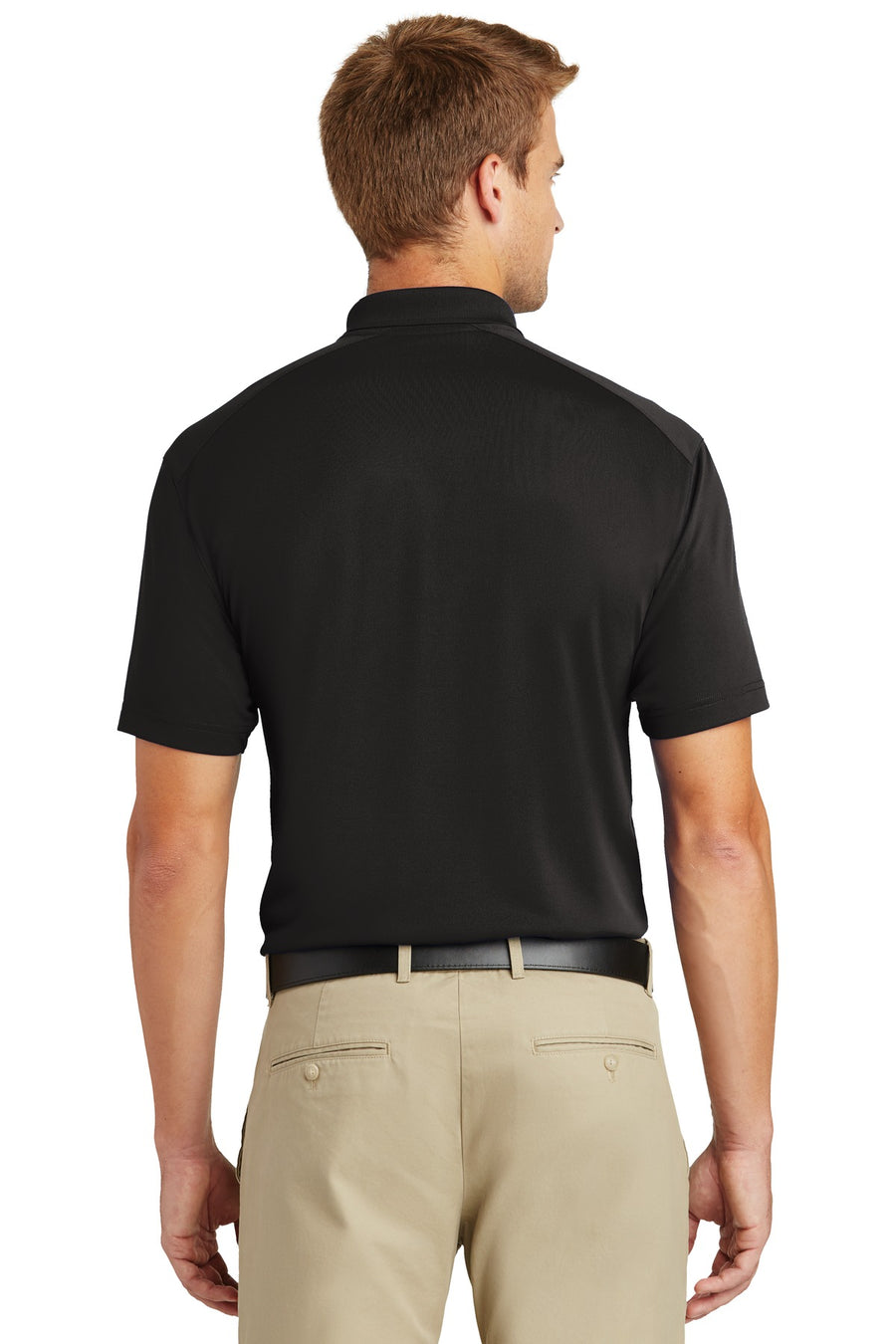 CS418-Black-back_model