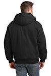 CSJ41-Black-back_model