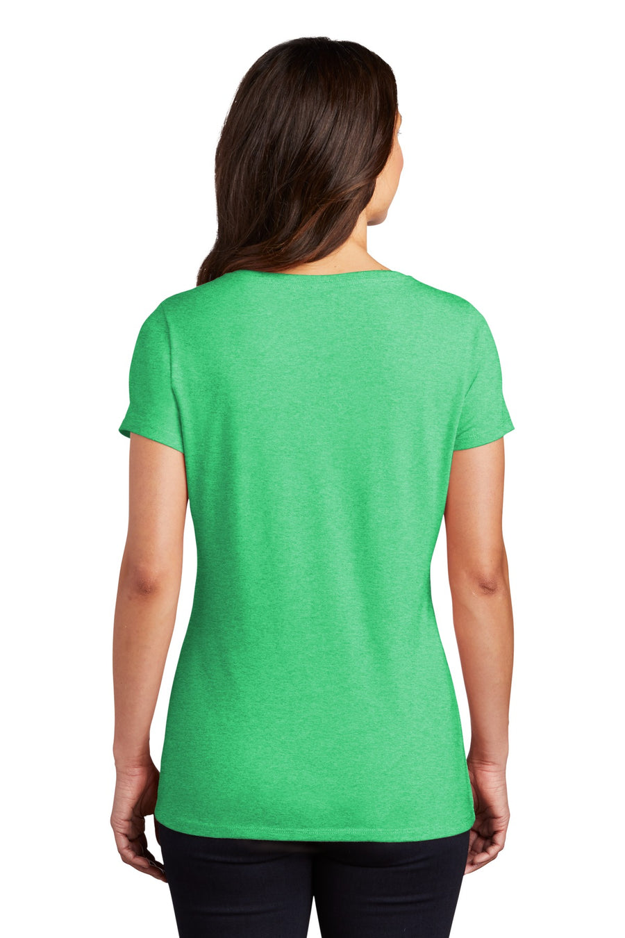 DM1350L-Green Frost-back_model