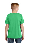 DT130Y-Green Frost-back_model