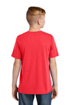 DT130Y-Red Frost-back_model