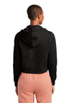 DT6103-Black-back_model
