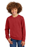 District® Youth V.I.T.™ Fleece Crew DT6104Y