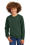 District® Youth V.I.T.™ Fleece Crew DT6104Y