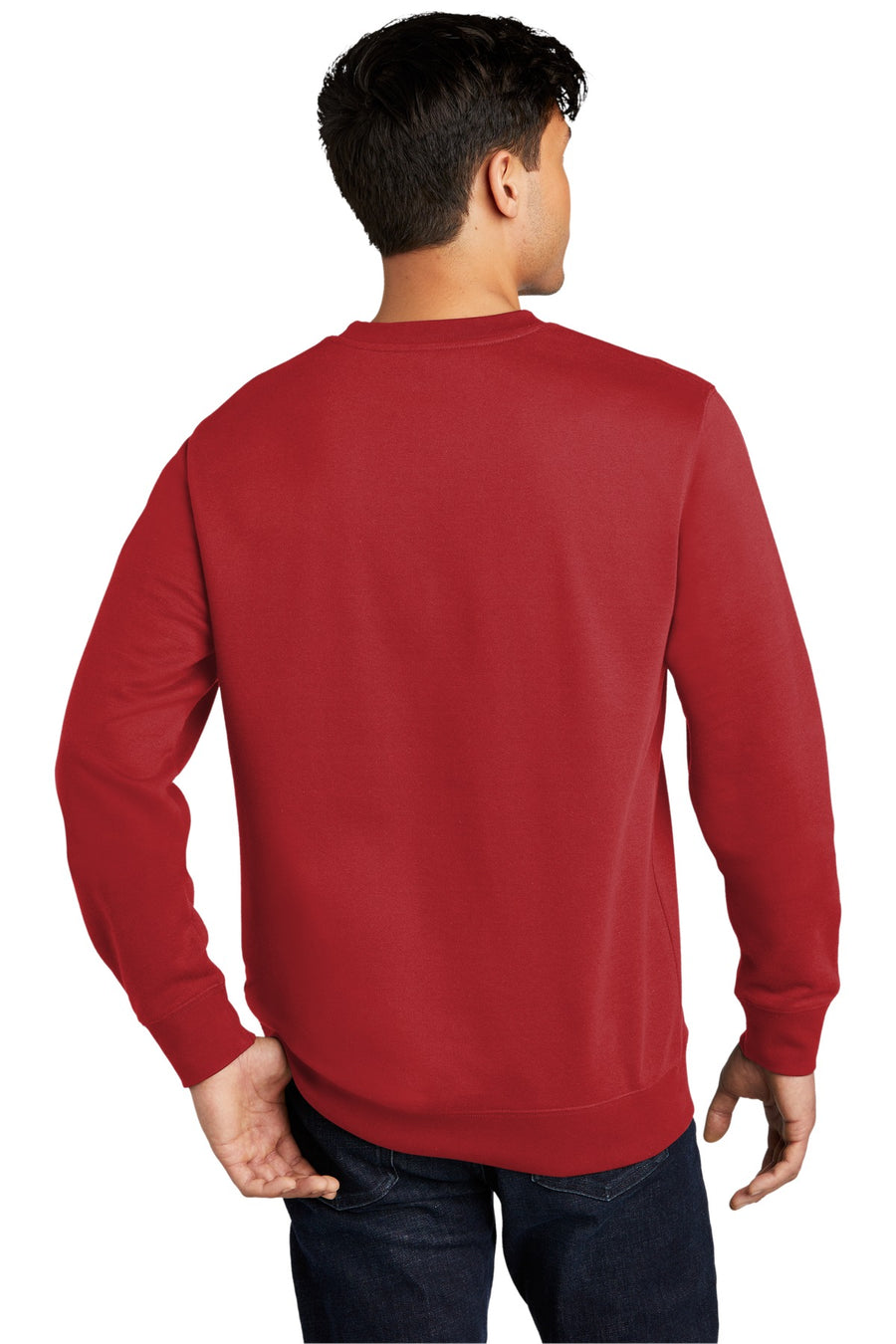 DT6104-Classic Red-back_model