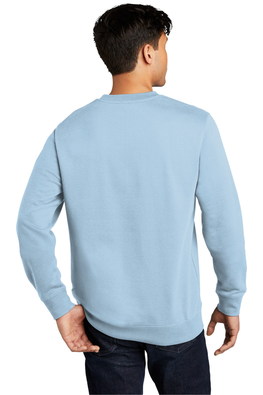 DT6104-Ice Blue-back_model