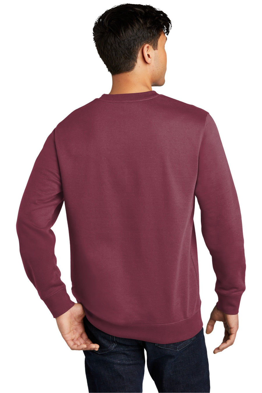 DT6104-Plum-back_model