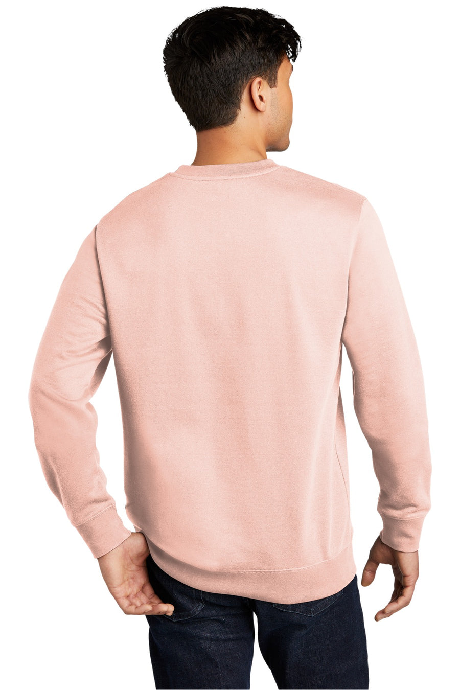 DT6104-Rosewater Pink-back_model