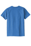 DT8000Y-Blue Heather-back_flat