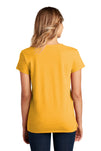 DT8001-Maize Yellow-back_model