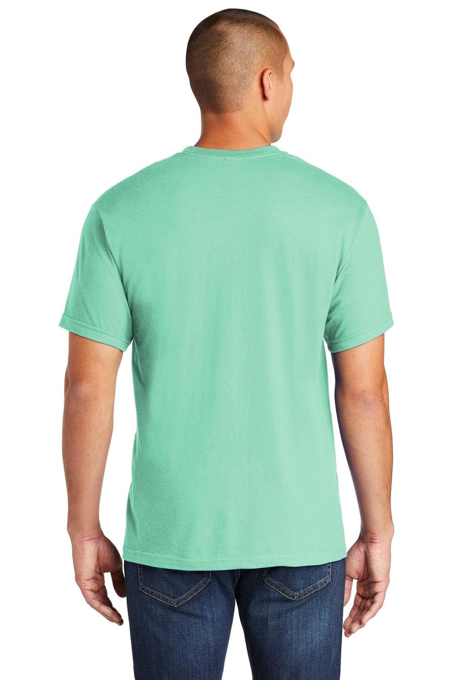 H000-Island Reef-back_model