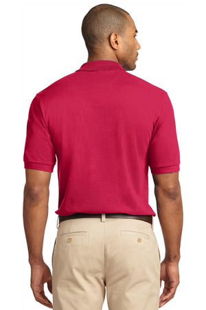 K420-Red-back_model