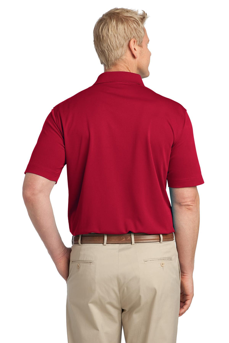 K527-Rich Red-back_model