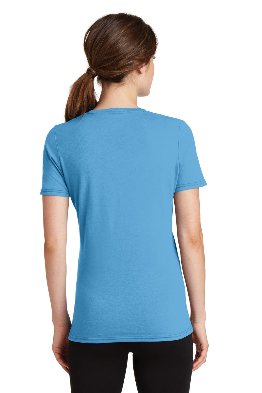 LPC381V-Aquatic Blue-back_model