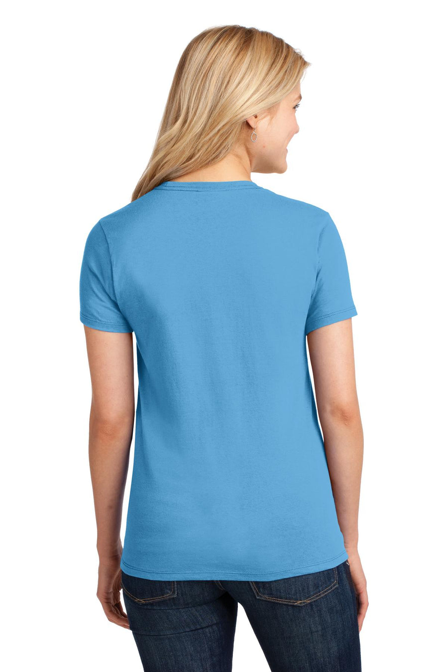 LPC54-Aquatic Blue-back_model