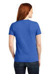 LPC55-Royal-back_model