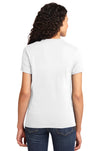 LPC61-White-back_model