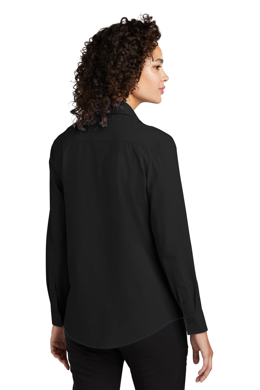 MM2001-Deep Black-back_model