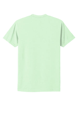NL6210-Mint-back_flat