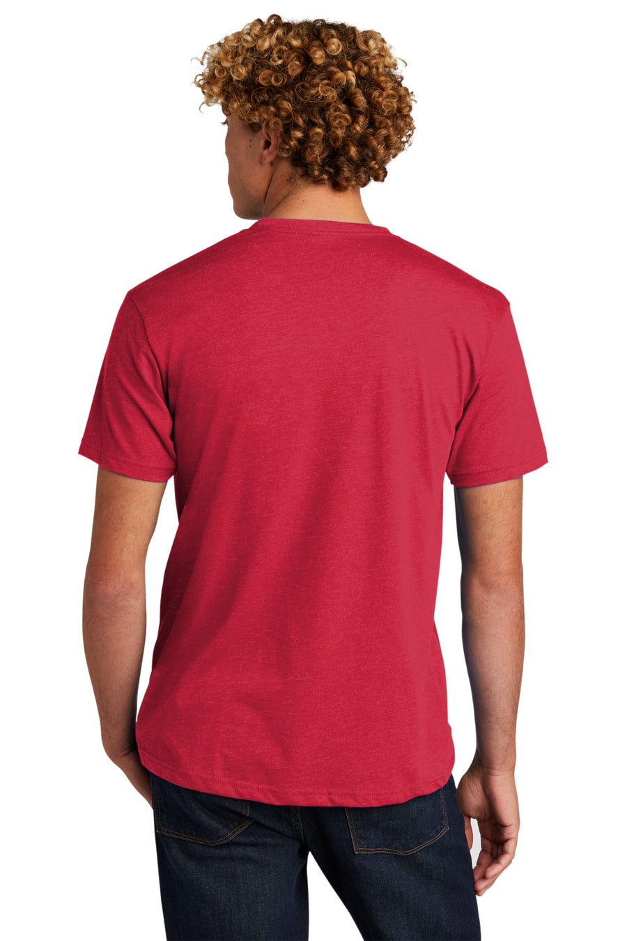 NL6210-Red-back_model