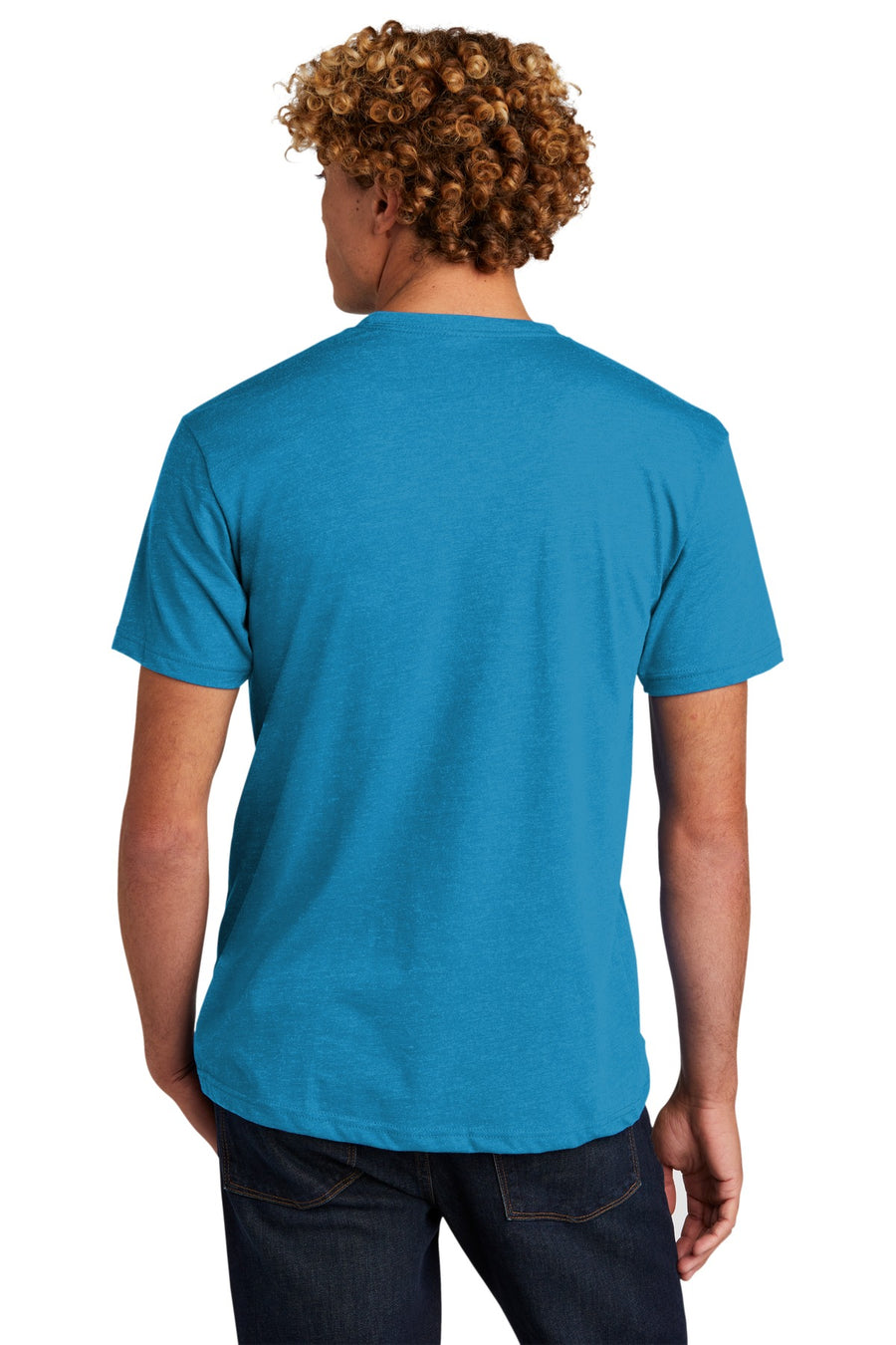 NL6210-Turquoise-back_model