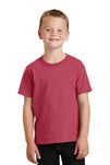 Port & Company® Youth Beach Wash® Garment-Dyed Tee. PC099Y