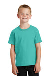 Port & Company® Youth Beach Wash® Garment-Dyed Tee. PC099Y
