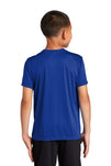 PC380Y-True Royal-back_model