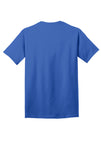 PC54DTG-Royal-back_flat