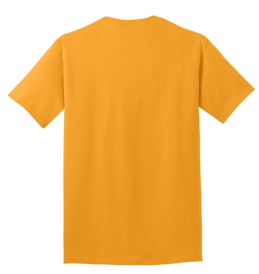 PC54T-Gold-back_flat
