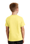 PC54Y-Yellow-back_model