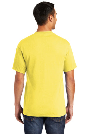 PC55T-Yellow-back_model