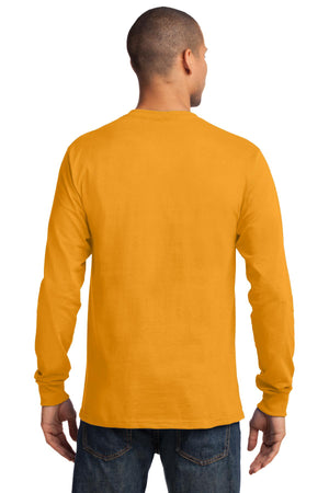 PC61LS-Gold-back_model